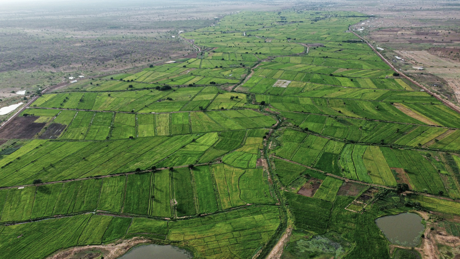 Farmland in Ghana.